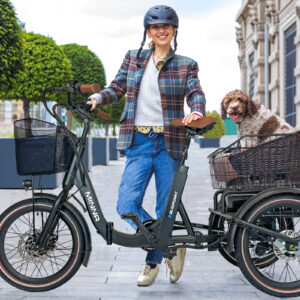 Blaupunkt MINNA® E-Trike