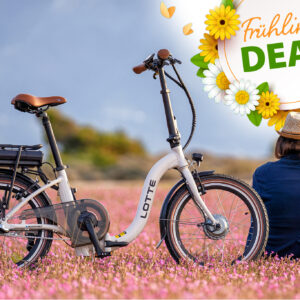 Blaupunkt LOTTE® m. Rücktritt