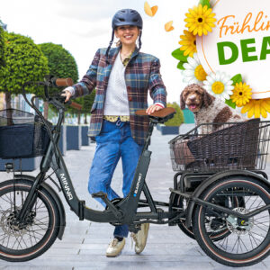 Blaupunkt MINNA® E-Trike (Ausstellungsstück)