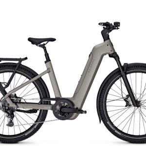 Kalkhoff Entice 5+ Move 800 Wh Damen grau 2026