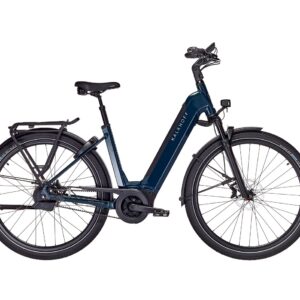 Kalkhoff Image 5+ Exite BLX 625 Damen grün 2025