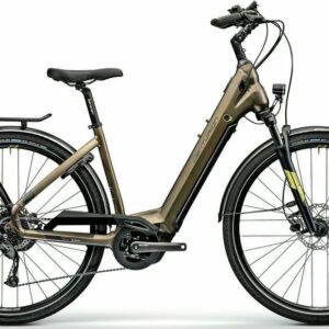 E-Bike Centurion E-Fire City R760I L frei Haus
