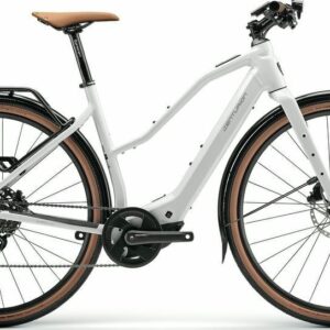 E-Bike Centurion Speeddrive R800 T EQ 2025 S frei Haus