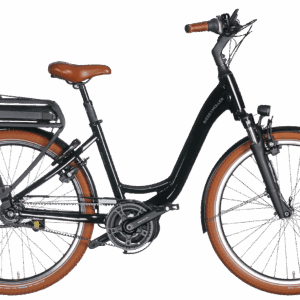 Riese & Müller Swing4 Rücktritt 500 Wh Damen schwarz