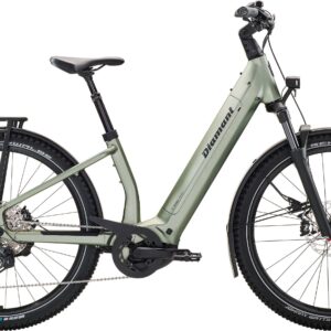 Diamant Suvea Trip Plus 800 Wh Einstieg tief - 2025 - Heugrün | L/XL