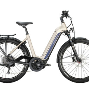 Victoria eADVENTURE 12.8 grey matt 27;5" 625 Wh Wave