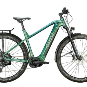 Kayza Sapric Dry 8 pine green/light green 29" 625 Wh Diamant