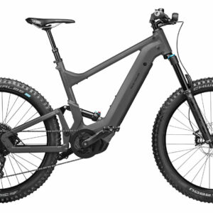 Riese & Müller DELITE MOUNTAIN TOURING urban grey matt 27;5" 625 Wh Diamant