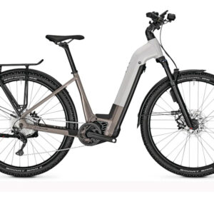Focus Planet² 6.8 ABS Low | City E-Bike | 29" | 625Wh Bosch CX | lightgrey glossy / moonstonegrey glossy Größe: 44 cm