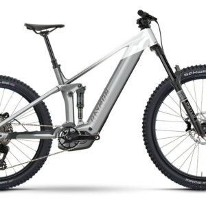 Raymon VAMOK COMP silver/white 29"/27;5" 800 Wh Diamant