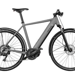 Riese & Müller ROADSTER TOURING grey matt 28" 625 Wh Diamant