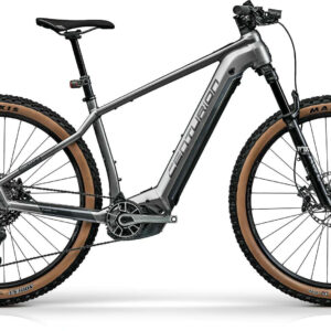 Centurion BACKFIRE R2600i grau/anthrazit 29" 625 Wh Diamant