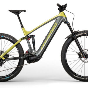 Corratec E-POWER RS 160 ELITE Silber-Grau/Grün 29"/27;5" 625 Wh Diamant