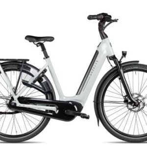 Gazelle Arroyo C8 Elite Wave 2026 | light olive | 49 cm | E-Cityräder