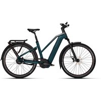 Kalkhoff ENTICE 5+ ADVANCE BELT - 29 Zoll 800Wh Enviolo Trapez - darksprings / jetgrey matt