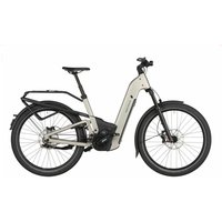 Riese & Müller Homage5 GT pinion - 27.5 Zoll 800Wh Pinion-12 Fully - warm silver