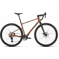 Mondraker Arid S - 28 Zoll 12K Diamant - bronze
