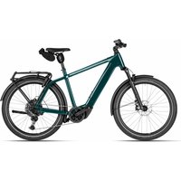 Riese & Müller Charger5 touring - 27,5 Zoll 800Wh 11K Diamant - pine