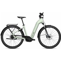 Flyer Gotour 5.43 CX - 29 Zoll 750Wh 5N Wave - Frosty Sage Gloss