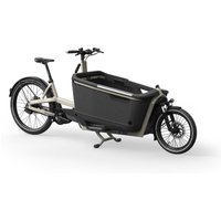 ca go FS200 - 27.5/20 Zoll 625Wh Enviolo Lastenrad - grey
