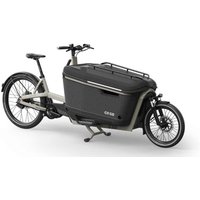 ca go FS200 Multi - 27.5/20 Zoll 625Wh Enviolo Lastenrad - grey