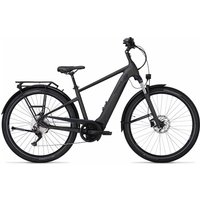 PEGASUS Savino Evo 10 CX - 28 Zoll 625Wh 10K Diamant - grey matt