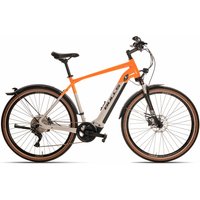 BULLS Cross Rider EVO 1 - 29 Zoll 625Wh 10K Diamant - light grey/orange