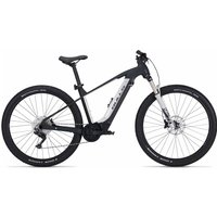 BULLS E-Stream EVO 1 29 - 29 Zoll 740Wh 10K Diamant - black matt/light grey