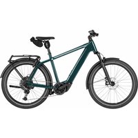 Riese & Müller Charger5 touring Testrad - 27,5 Zoll 800Wh 11K Diamant - pine