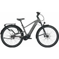 BULLS VUCA EVO X 1 - 29 Zoll 960Wh Pinion Diamant - metallic aventurine