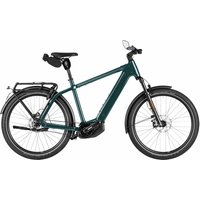 Riese & Müller Charger5 pinion HS Testrad - 27,5 Zoll 800Wh Pinion 1.12S Diamant - Pine