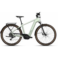 Flyer Gotour 5.12 CX - 29 Zoll 750Wh 10K Diamant - Frosty Sage Gloss
