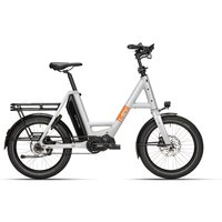 i:SY P12 ZR - 20 Zoll 800Wh Pinion MGU E1.12 Compact - ice silver