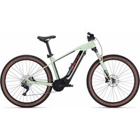 BULLS E-Stream EVO 1 29 - 29 Zoll 740Wh 10K Diamant - pistachio/black