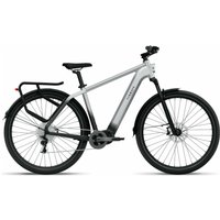 Tenways AGO-X - 29 Zoll 504Wh 10K Diamant - Gradient Silver