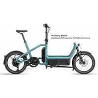 Riese und Müller Carrie touring - 20 Zoll 725Wh 10K Lastenrad - Aqua