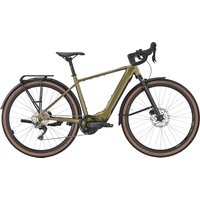 BULLS DAILY GRINDER EVO SX - 28 Zoll 400Wh 11K Diamant - verde matte