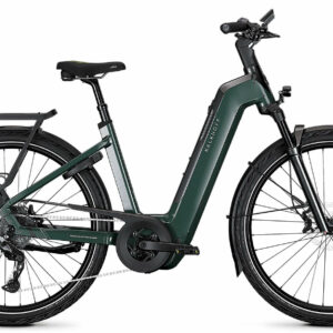 Kalkhoff ENDEAVOUR 5+ ADVANCE techgreen / diamondblack glossy 29" 800 Wh Wave