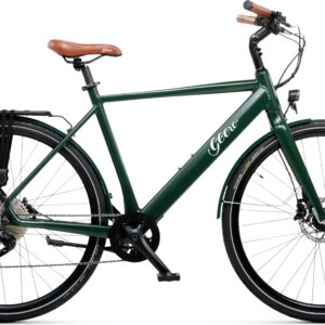 Geero FLEX E-Bike Pine 54 - braun & LC Display - gebogener Lenker