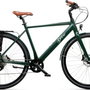 Geero FLEX E-Bike Pine 54 - braun & OLED Display - gebogener Lenker