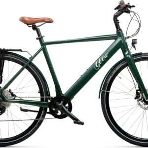 Geero FLEX E-Bike Pine 54 - braun & OLED Display - gerader Lenker