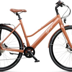 Geero FLEX E-Bike Copper 52 - braun & OLED Display - gerader Lenker