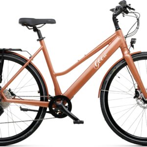 Geero FLEX E-Bike Copper 52 - schwarz & LC Display - gerader Lenker