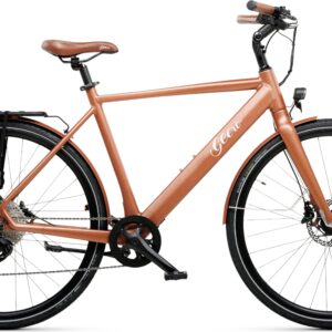 Geero FLEX E-Bike Copper 54 - braun & LC Display - gebogener Lenker