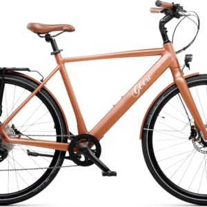 Geero FLEX E-Bike Copper 54 - braun & OLED Display - gebogener Lenker
