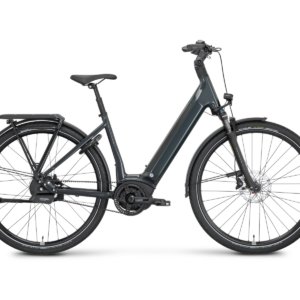 Rose Xtra Watt Plus 3 LowStep