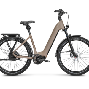 Rose Mayor Plus 3 LowStep