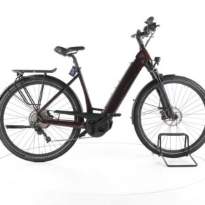 Stevens E-Triton PT6 Trekking E-Bike Tiefeinsteiger