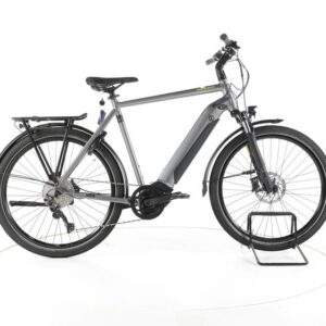 Winora Sinus iX10 Trekking E-Bike