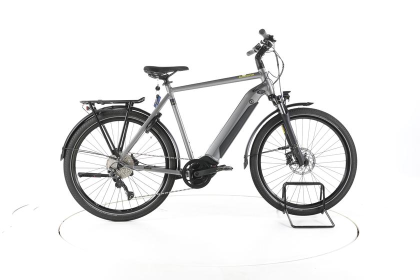 Winora Sinus iX10 Trekking E-Bike